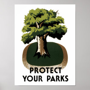Pôster Proteja seus parques