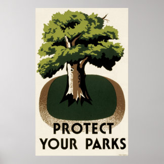 Poster Proteja seus parques