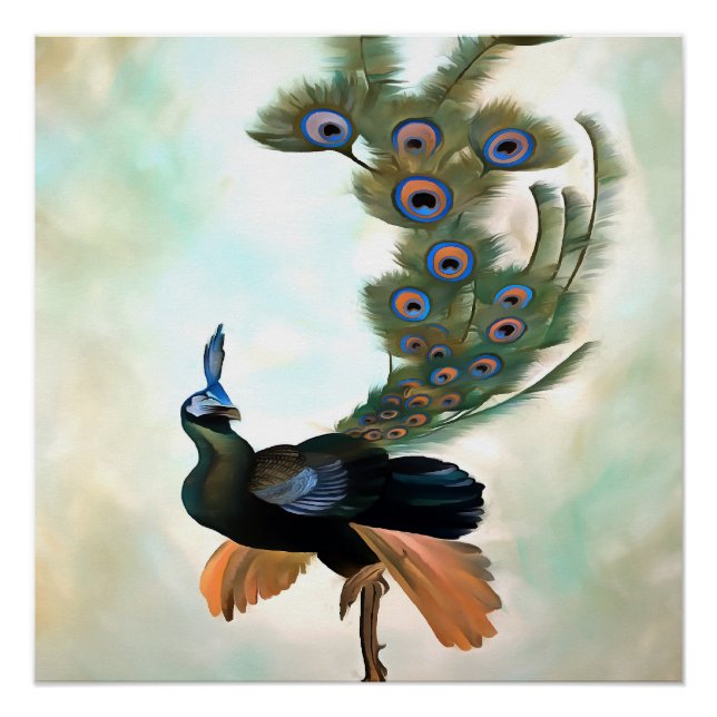 Pôster Proud As A Peacock Colorful Courtship Display (Frente)