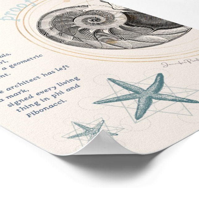 Poster Prova de seashell nautilus fibonacci design (Borda)
