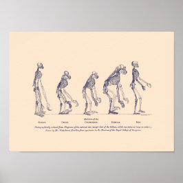 Poster Provas do lugar do homem na natureza