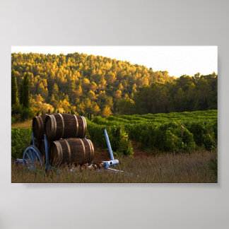 Poster Provence, França