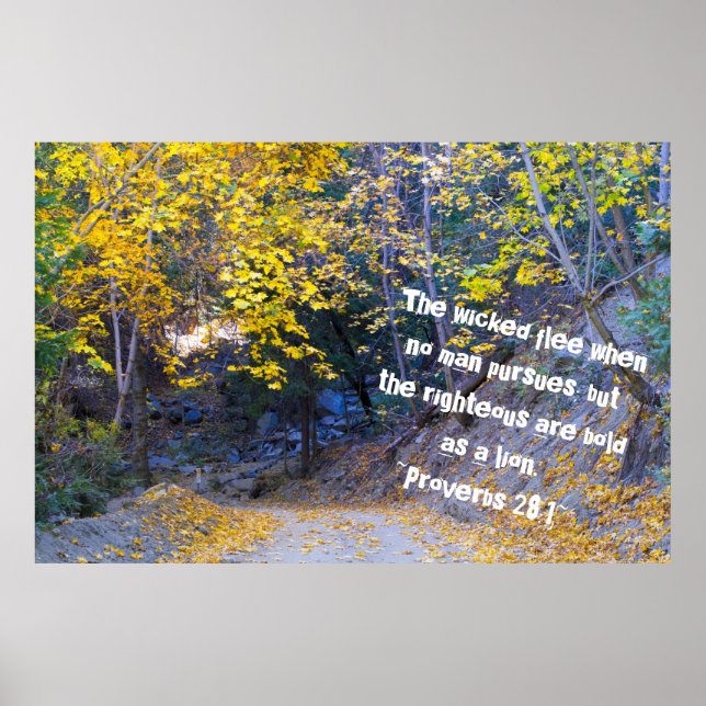 Poster Provérbios 28:1 (Frente)