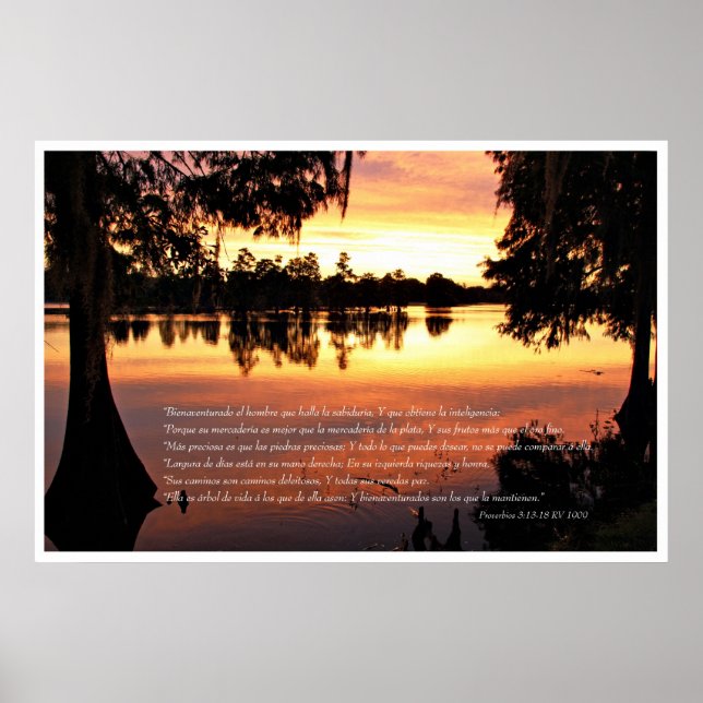 Poster Proverbios 3: 13-18 varizes (Frente)