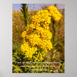 Poster Proverbos 3:5 Bíblia verso