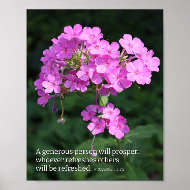 Poster Proverbs 11:25 Pink Phlox Christian (Frente)