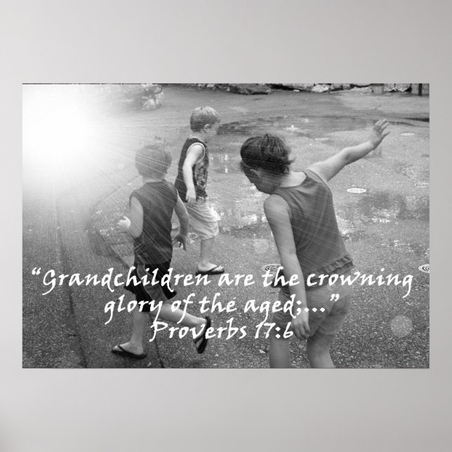 Pôster "Proverbs 17:6" por Carter L. Shepard (Frente)