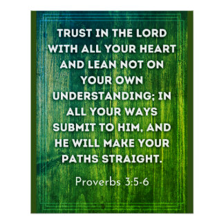 Pôster Proverbs 3:5-6 poster