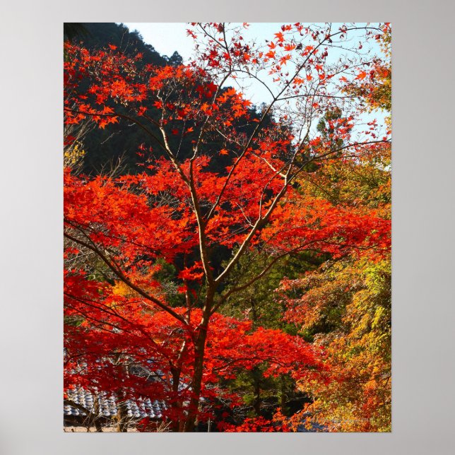 Poster Província de Saitama, Japão (Frente)