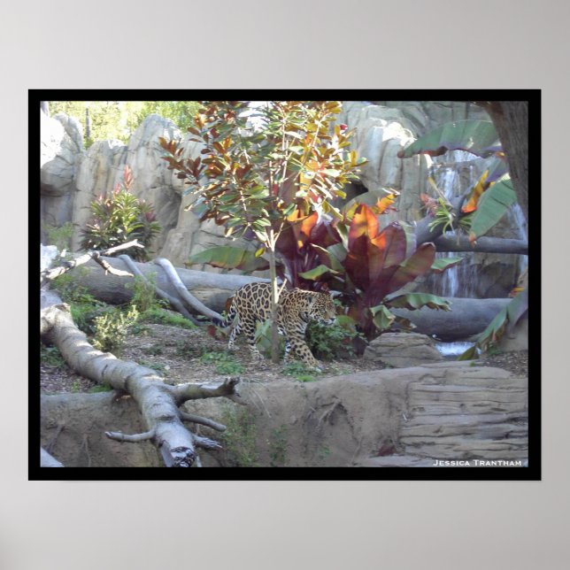 Pôster Prowl (Frente)