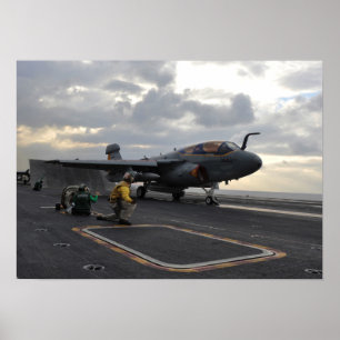 Pôster Prowler EA-6B