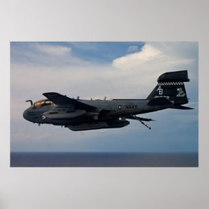 Poster Prowler EA-6B