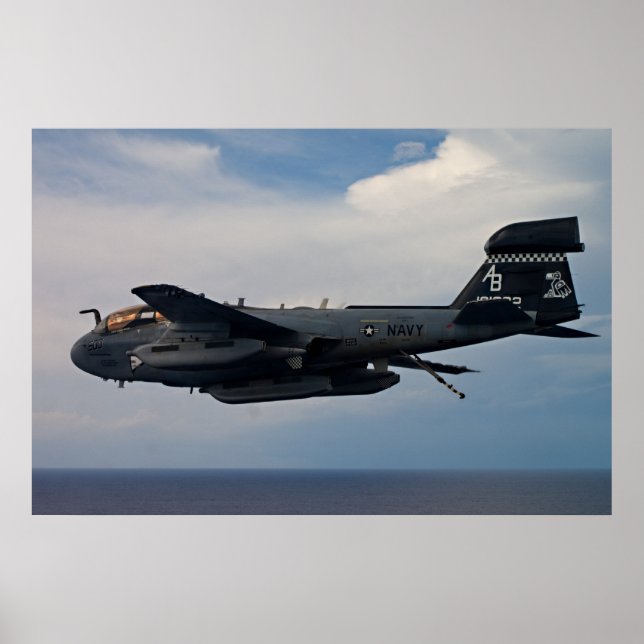 Poster Prowler EA-6B (Frente)