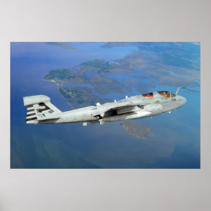 Pôster Prowler EA-6B