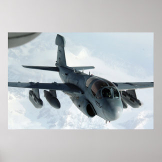Pôster Prowler EA-6B