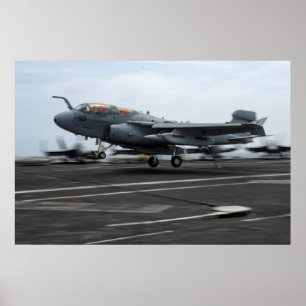 Pôster Prowler EA-6B