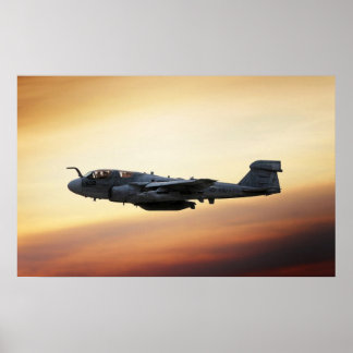 Pôster Prowler EA-6B