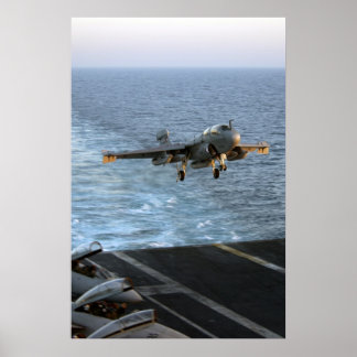 Pôster Prowler EA-6B