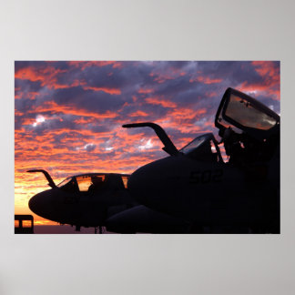Pôster Prowler EA-6B