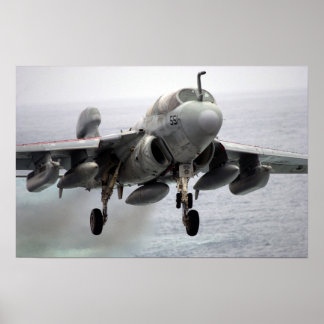 Pôster Prowler EA-6B