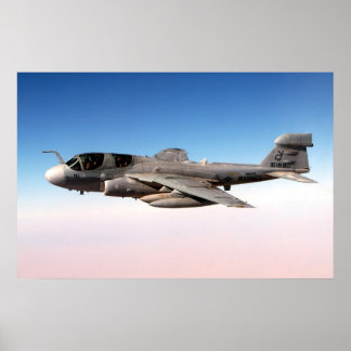 Poster Prowler EA-6B