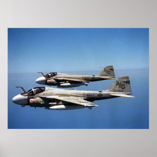 Pôster Prowlers EA-6B