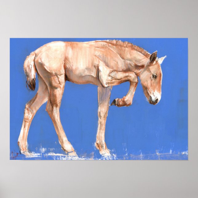 Poster Przewalski Foal 2012 (Frente)