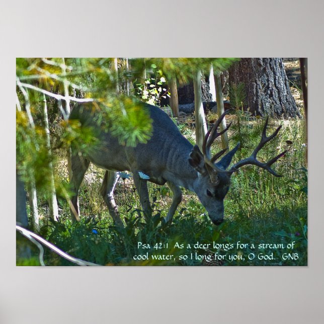 Poster Psalm 42:1 (Frente)