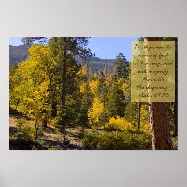 Poster Psalm 69:30 (Frente)