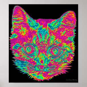 Poster psicadélico do gato