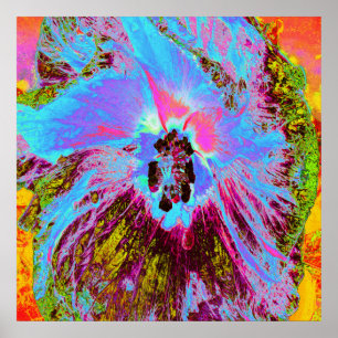 Poster Psicodélico Cornflower Blue e Magenta Hibiscus