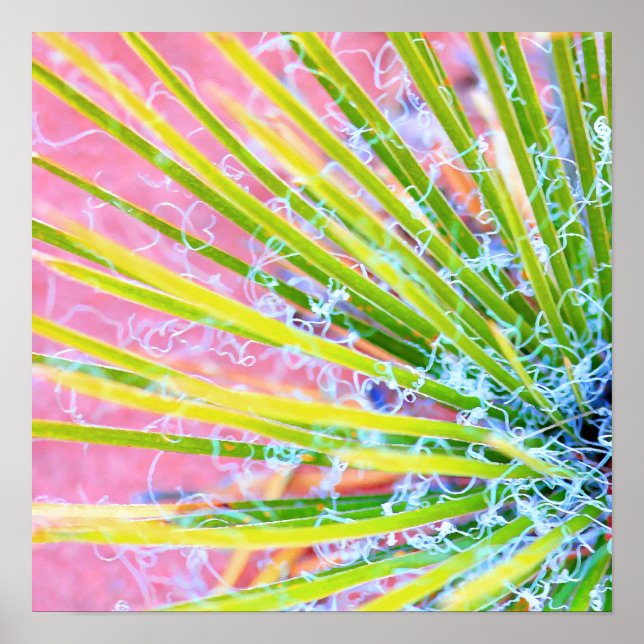 Pôster Psychedelic Yucca (Frente)