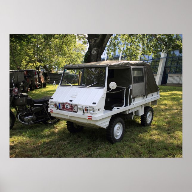 Poster Puch Haflinger (Frente)