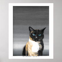 Puck, Plain e Simple