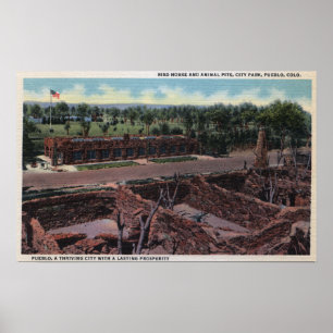 Pôster Pueblo, Colorado - Bird House & Animal