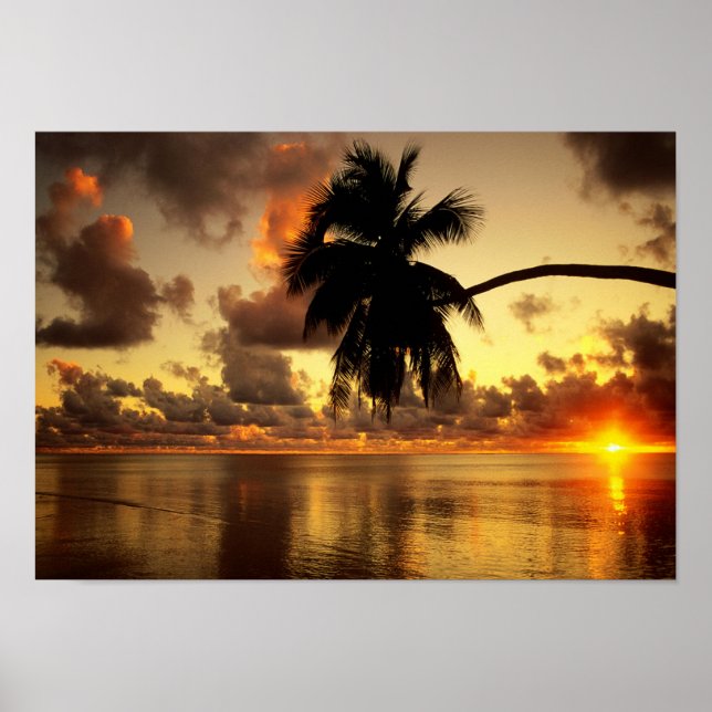 Poster Puerto Vallarta (Frente)