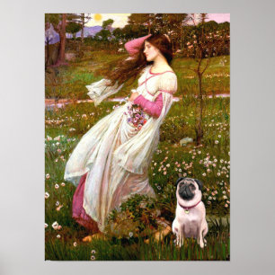 Poster Pug 1 - Relógios