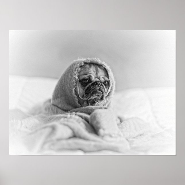 Pôster Pug Antigo País (Frente)