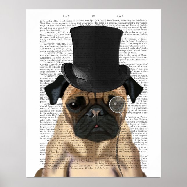 Poster Pug, Chapéu Formal e Chapéu (Frente)