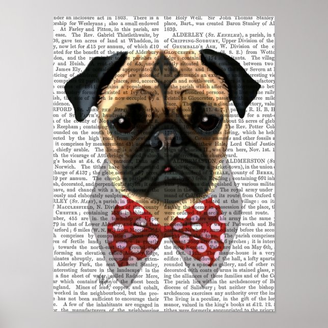 Pôster Pug com Arco vermelho e branco (Frente)