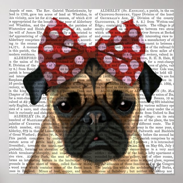 Pôster Pug com Laço Vermelho Manchado na Cabeça (Frente)