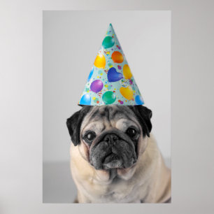 Poster Pug de Partido