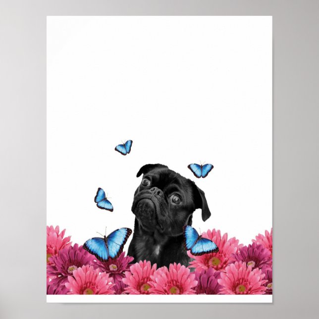 Poster Pug Gerbera Butterflies | Cachorro Negro (Frente)