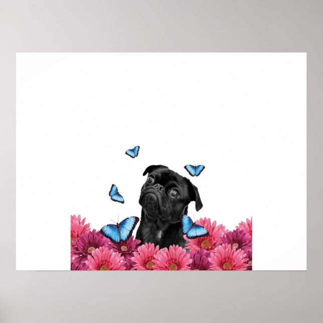 Poster Pug Gerbera Butterflies | Cachorro Negro (Frente)