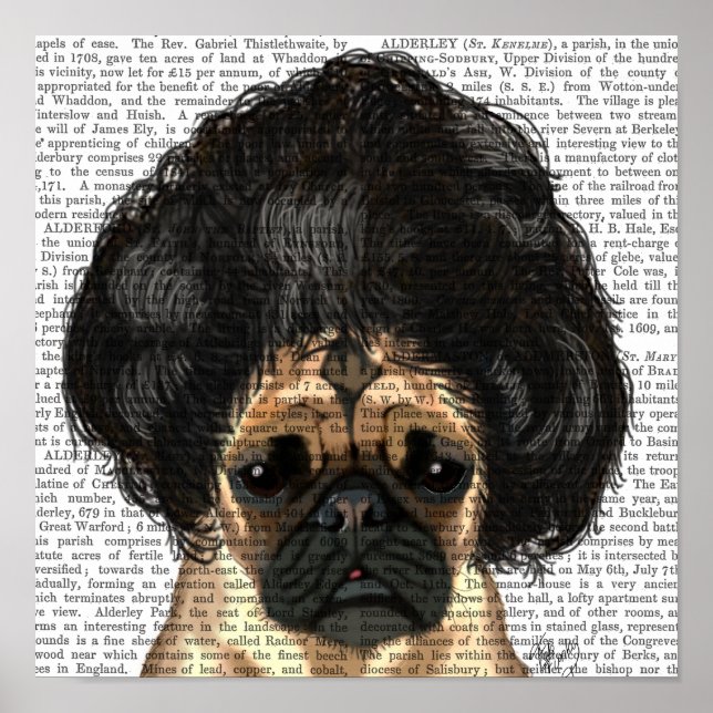 Pôster Pug In A Bad Wig (Frente)