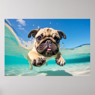 Poster Pug Pet Dog Animal Diversão Brincando Água