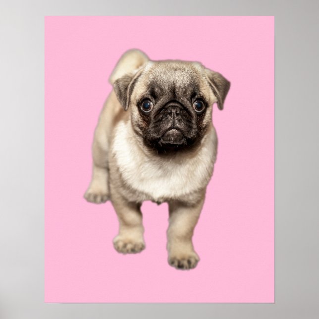 Poster Pug Puppy - Cor de Fundo Personalizada (Frente)