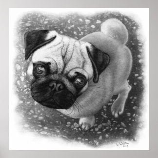 Pôster Pug Puppy Dog Art
