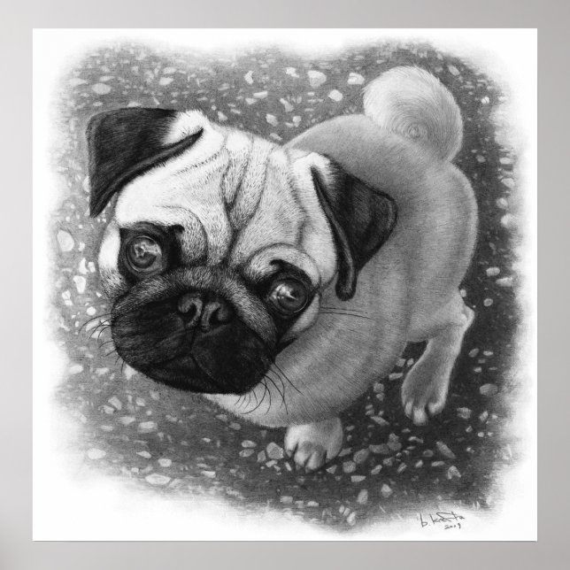 Pôster Pug Puppy Dog Art (Frente)