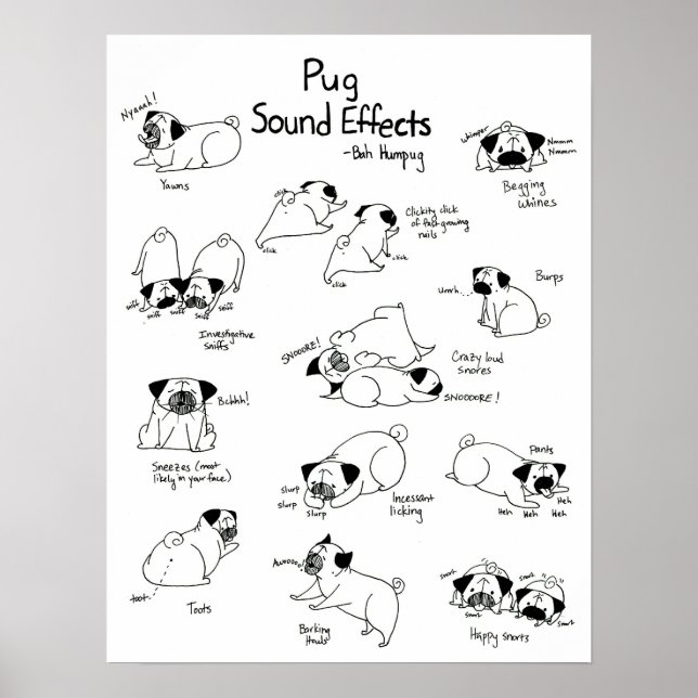 Pôster Pug Sound Effects (Frente)